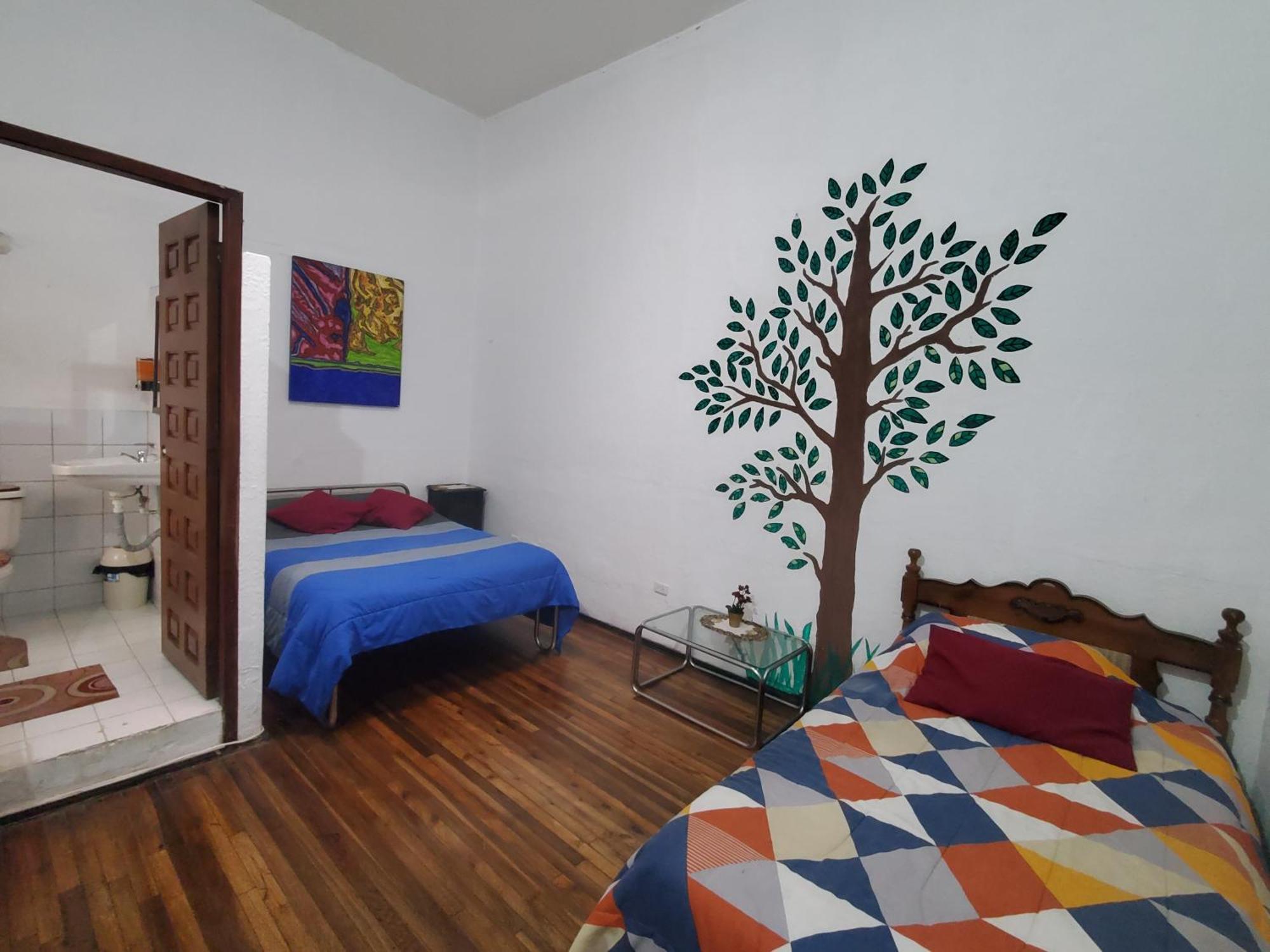San Marcos Cultural & Guesthouse كويتو المظهر الخارجي الصورة