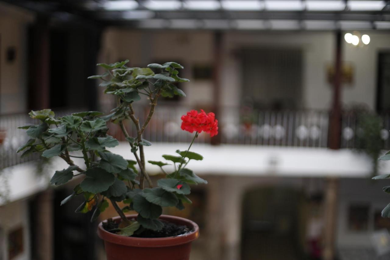 San Marcos Cultural & Guesthouse كويتو المظهر الخارجي الصورة